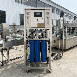 Su tankı olmadan ucuz küçük mavi şişe 0.25 T/H su arıtma ekipmanları ilk aşama RO su Filtration syonu - Product Image 4