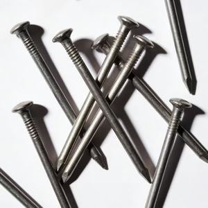 Clavos Comunes de Acero Galvanizado con Cabeza Lisa para Construcción (Empaquetados en Cartón) - Product Image 2