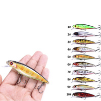 Leurre de pêche hybride en plastique Raylor 88mm 9.2g, flottant, pour eau salée et eau douce, avec yeux 3D holographiques et fonction sonore.