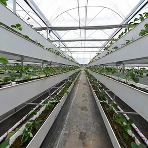 Greenhouse Grow Factory Strawberry Growing Hydroponic Nft Channel <strong>Gutter</strong> Supplied by Factory - Product Image 4