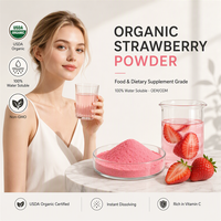 Poudre de fraise biologique soluble dans l'eau, extrait de fruit de qualité alimentaire pour boissons