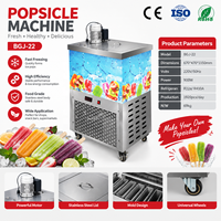 Commerciële fruit-ijsjesmachine, huishoudelijke handmatige ijsmachine, ijslollymachine