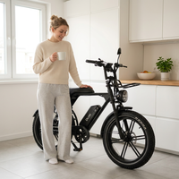 Vélo électrique OUXI Executive Series 48V 750Wh 250W 25Km/H 24 pouces, vélo de tourisme électrique haut de gamme, offre OEM sous marque privée, Fatbike V8 Pro