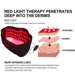 Equipo de Salud, Cinturón Vibrador de Cintura Flexible con Doble Espiral para Adelgazar, Masajeador de Estómago con Calor, 12V, 1 Año de Garantía, CE - Product Image 2