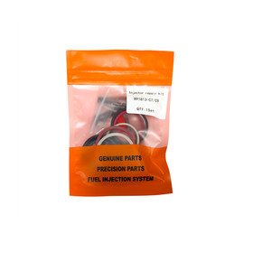 Kit de Inyectores Common Rail de Alta Calidad, Kit de Reparación Nacional 891811 - Product Image 2