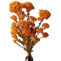Getrocknete konservierte Blumen für Kunst handwerk Gebleichte Farbe Reisblume für Blumen arrangement Blumenstrauß Hochzeit