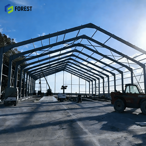 Hangar d'avion en structure acier préfabriquée robuste et personnalisée, ignifuge, pour avion privé, avec service de conception - Product Image 4