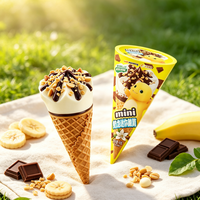 Services de Marquage Privé OEM pour Cornets de Glace Croustillants Certifiés HACCP, Desserts Surgelés en Gros, Halal, Disponibles en Sac