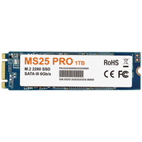 M.2 2280 SSD 1 To Disque dur SATA III 6 Go/S Disque SSD interne pour ordinateur de bureau/ordinateur portable/ordinateur portable