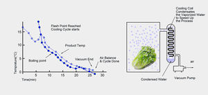 Refroidisseur sous vide à palette unique entièrement automatique pour légumes avec moteur et pompe comme composants de base - Product Image 4