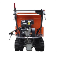 Mini-dumper homologué CE/MD/EMC, moteur à essence 6,5 CV, brouette motorisée, capacité de charge de 300 kg, mini-transporteur sur chenilles