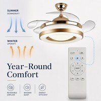 Ventilador de Techo con Aspas Transparentes de Nuevo Diseño, con Luz y Control de Velocidad Integrado, Control de Pared con Interruptor de Luz
