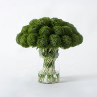 Flores Artificiales de Dianthus Verde al por Mayor con Jarrón de Vidrio para Arreglos Florales en Hoteles y Restaurantes