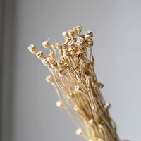 Geconserveerde natuurlijke rozenkoppen, langdurig houdbaar echt rozenmateriaal voor cadeaudozen, huisdecoratie en DIY-arrangementen