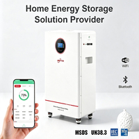 Système de stockage d'énergie domestique sur pied, batterie solaire au lithium LiFePO4 IP65 300Ah 314Ah 15kWh 16kWh 51.2V pour l'extérieur