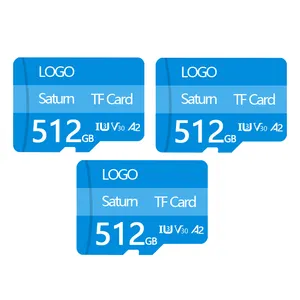 工厂10级迷你sd卡备忘录8gb 16gb 32gb 64gb 128gb 256gb Sd tarjeta de memoria micro 2 tb TF存储卡2g原装