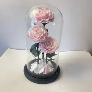 Factory Directly Supply 2024 Hot Selling Eternal Rose Morthers Day Preserved Flower Forever Roses In Glass Dome Led