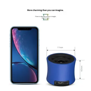 Petit haut-parleur portable en métal avec caisson de basses <span class=keywords><strong>sans</strong></span> <span class=keywords><strong>fil</strong></span> 5W, carte mémoire TF, radio FM, mini haut-parleur 5W - Product Image 2