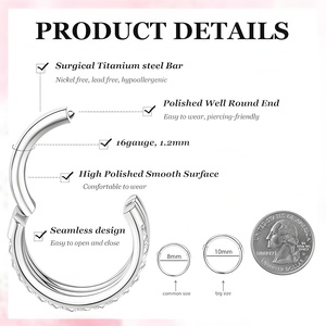 Anneau de nez en acier inoxydable et zircon, boucle d'oreille sans soudure, bijoux de <span class=keywords><strong>piercing</strong></span> de qualité supérieure, vente en gros - Product Image 4