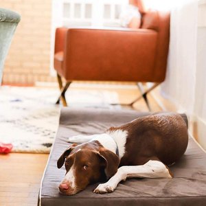 Materasso per Cani in Memory Foam Rimovibile, Motivo Animale, Morbido, Antiscivolo, Ecologico, Per Tutte le Stagioni, Personalizzabile per Cani, Gatti, Auto - Product Image 5