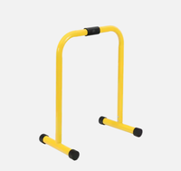 Barres parallèles SM Fission, appareil de fitness multifonctionnel et compact, conçu pour les salles de sport commerciales et l'entraînement à domicile.