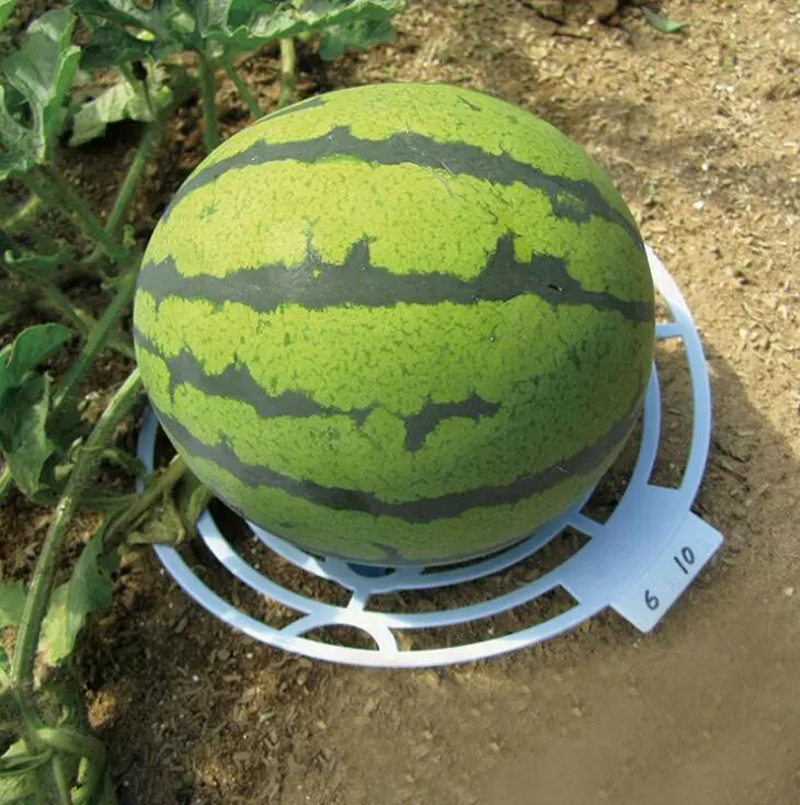 Runder Kunststoff Pflanzen wiege Schutz regal Melonen matte Tablett Wiege Garten Wassermelone Unterstützt für Erdbeer kürbis