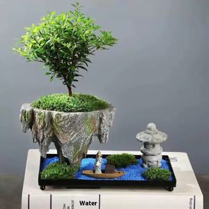 Style moderne Phalaenopsis Bonsaï Jardinière Rétro Fer Micro Paysage <span class=keywords><strong>Bassin</strong></span> Arbre Riche Intérieur Île <span class=keywords><strong>Flottante</strong></span> Rétro Riz Bambou - Product Image 4