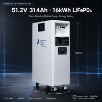 Pack de batteries solaires LiFePO4 51,2 V 314 Ah 16 kWh avec écran tactile intelligent, surveillance à distance via application Bluetooth 4G