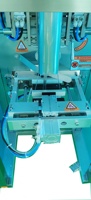 500g Volledig Automatische Cashew- en Pinda-Koffiebonen-Grain-Fruit Gedroogde Ronde Cake Vacuüm Achterwaartse Vouw-Pellet Verpakkingsmachine