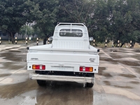 Pick-up électrique Ruichi EC31 RHD, capacité de charge de 1,3T, garantie de 8 ans, fourgonnette électrique pour les entreprises