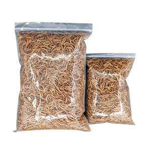 3-4 Veces Más Proteína que las Huevas <span class=keywords><strong>de</strong></span> Huevo, Gusanos <span class=keywords><strong>de</strong></span> Harina Secos Naturales con Alto Contenido <span class=keywords><strong>de</strong></span> Proteínas para un Crecimiento Saludable <span class=keywords><strong>de</strong></span> sus Amados Mascotas - Product Image 6