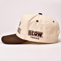 Gorra de Béisbol de Algodón de Dos Tonos, Ajustable, Unisex, Protección UV, Moda Casual, para Exteriores, con Logotipo Personalizado Disponible en 3D