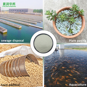 纯沸石陶瓷球干燥剂除湿机吸水软化剂空气过滤介质颗粒岩石非金属矿物 - Product Image 3