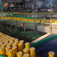 Tropisch Vers Fruit Productielijn/Ingeblikte Gele Perzikmachine/Verwerkingslijn