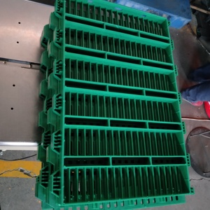 Pagaie en plastique pour maison de cochon, sol en plastique de 600x400mm - Product Image 4