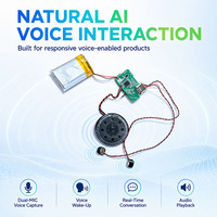 Carte de développement traditionnelle améliorée avec Wi-Fi, BLE, IA conversationnelle générative, intégration facile, OTA et développement économique