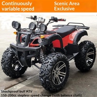 Quad tout-terrain grande taille, 4x4, essence-électrique, monoplace/biplace, pour adultes, idéal pour la location et les sites de loisirs (type Go-Kart)