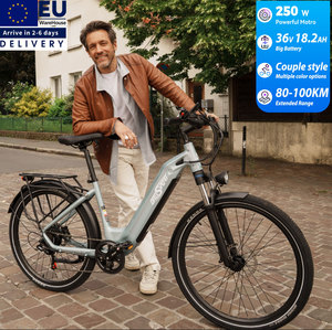 Eu Onesport OT05 <b>Electric</b> City Bike 250W <b>Electric</b> Bike Adult 36V Fatbike <b>Electric</b> Hybrid Bike Food Delivery Ebike Women Ebike - Product Image 1