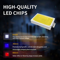 Lampes de culture LED étanches à spectre complet UV IR 250W haute puissance 3000K 5000K pour la culture de plantes d'intérieur