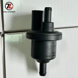 Yakıt Deposu Buhar Kabı Temizleme Solenoid Valfi OEM 0280142345 6QE906517 Au-di A3 V-W Bee-tle Pa-ssat Go-lf Je-tta Toua-reg için - Product Image 1