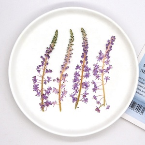 12 pièces/sac <span class=keywords><strong>Jacinthe</strong></span> japonaise pour cadre photo de mariage, fabrication de bougies en résine époxy, fleurs pressées - Product Image 1