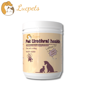 Suplemento para el cuidado de la salud de mascotas personalizado, ODM, OEM, tabletas masticables recomendadas por veterinario, arándano para prevención de infecciones urinarias en perros, apoyo inmunológico - Product Image 1