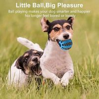 Fabricant de jouets interactifs OEM pour animaux de compagnie Balle roulante magique pour chien Mangeoire lente Jouets à mâcher pour chien Distributeur de friandises Jouet