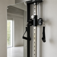 Gimnasio Multifuncional de Pared para el Hogar, Equipo de Entrenamiento Comercial para Estudio de Fisioterapia, Acabado en Nogal, Pila de Pesas de 30 kg