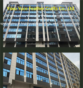 <span class=keywords><strong>Piume</strong></span> <span class=keywords><strong>di</strong></span> Anatra/Oca <span class=keywords><strong>Bianche</strong></span> Multicolore all'Ingrosso per Decorazioni Fai-da-Te, Matrimoni, Casa e Feste - Product Image 2