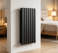 Radiateur mural à double panneau, radiateur hydronique moderne, chauffage vertical en acier pour hôpitaux et maisons