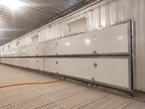 Hot Sale <strong>Automatic</strong> Breeder Flat <strong>Raising</strong> Climate Environmental Control <strong>System</strong> - Product Image 5