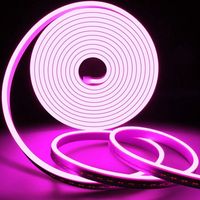 Bande LED RVB SMD flexible haute densité en silicone IP65 multicolore 24/12V DC, dimmable, certifiée CE/RoHS, garantie 2 ans pour l'aménagement paysager