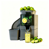Presse-agrumes automatique commercial pour oranges, citrons et limes – Machine à jus pressé à froid pour restaurants et bars à jus