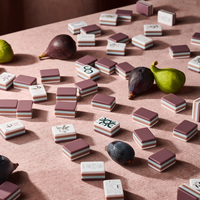 Set Permainan Mahjong Amerika Pastel Chinoiserie 160PCS Mauve Brown Mint Empat Lapis Akrilik Pagoda Oriental Hewan Hadiah Unik